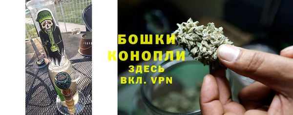 PSILOCYBIN Алексеевка