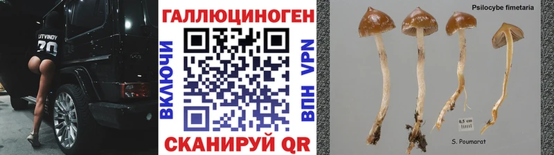 цена   Ялуторовск  даркнет клад  Галлюциногенные грибы Magic Shrooms 